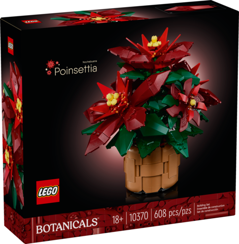 Poinsettia