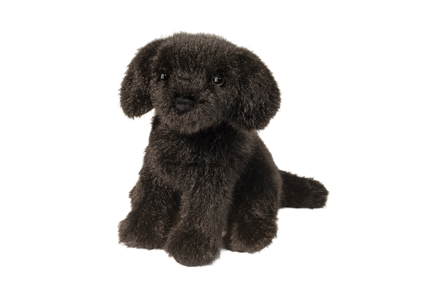 Mini Black Lab