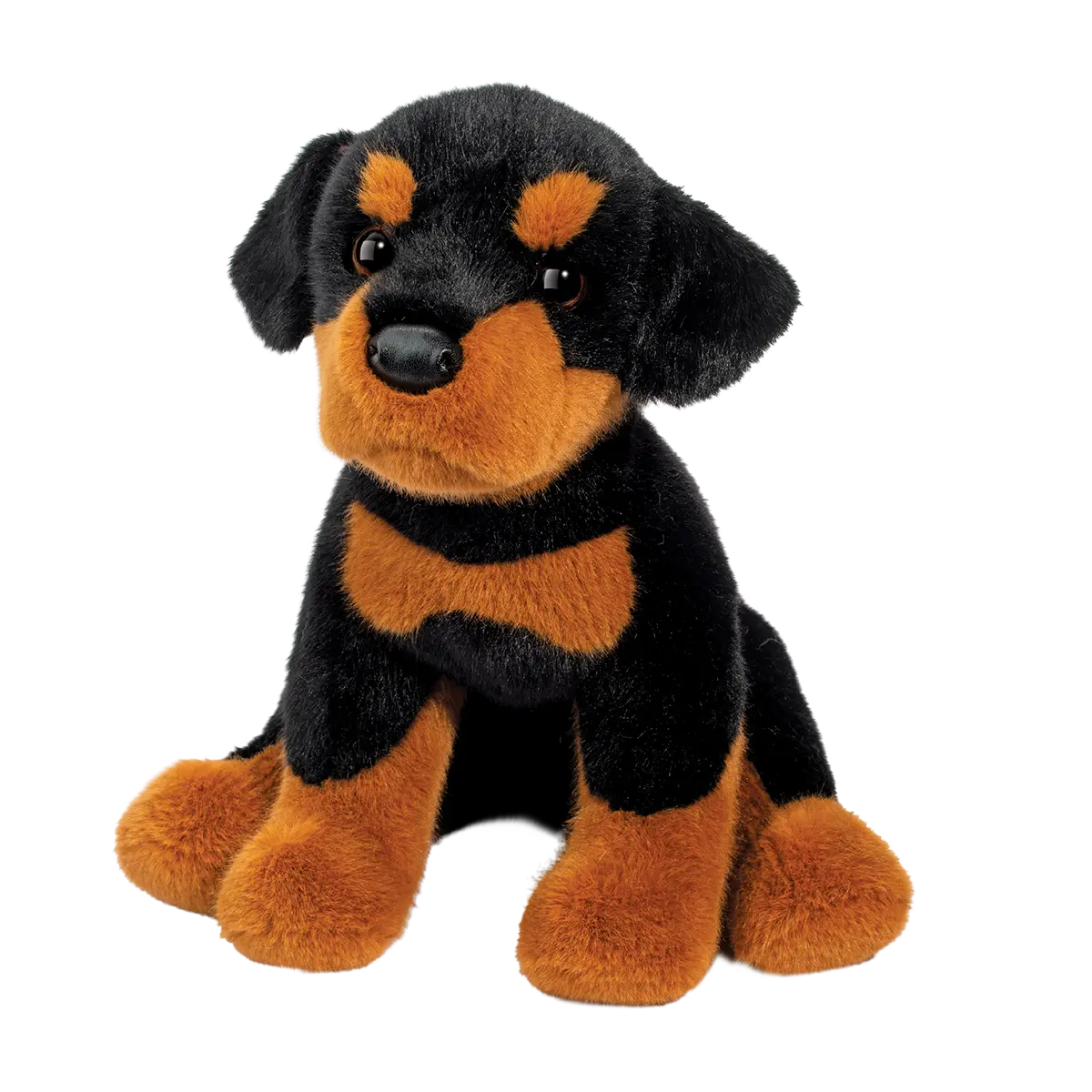 Ed Rottweiler