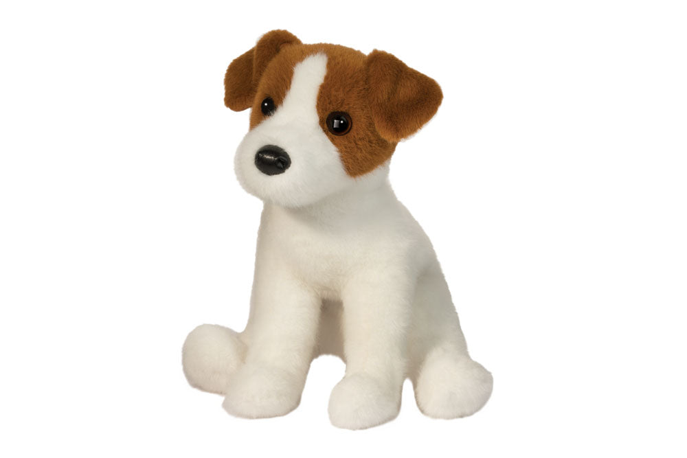 Fiona Jack Russell Terrier