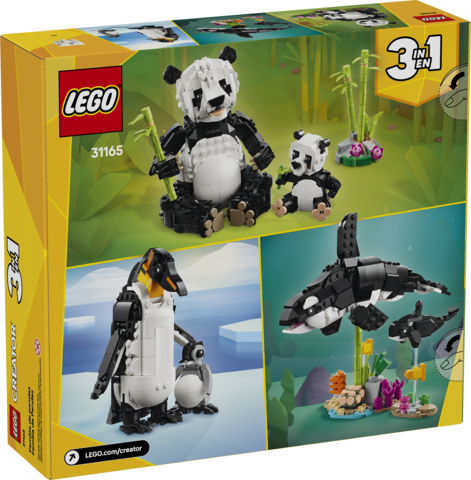 Wild Animals Panda Family