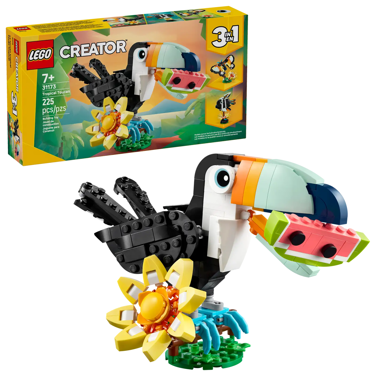 Tropical Toucan Creator