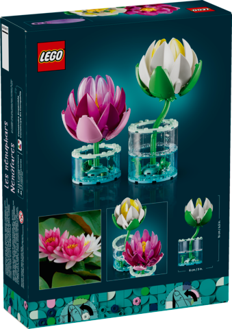 Water Lilies