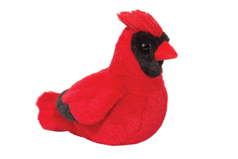 Carlie Cardinal Soft