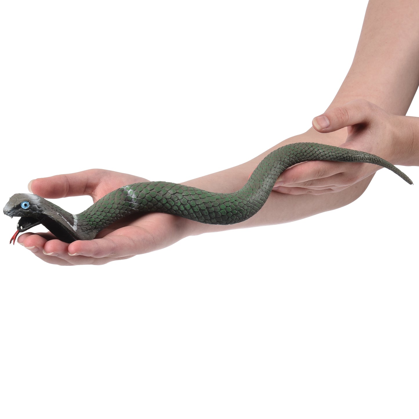 15" Stretchy Snake