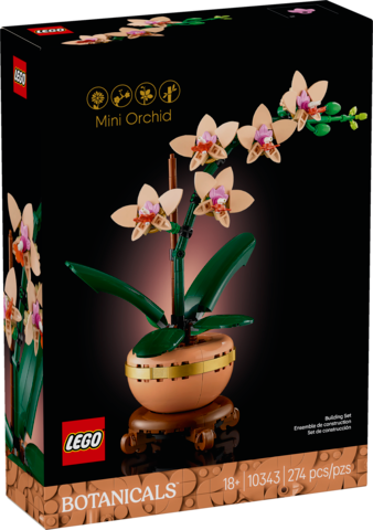 Mini Orchid