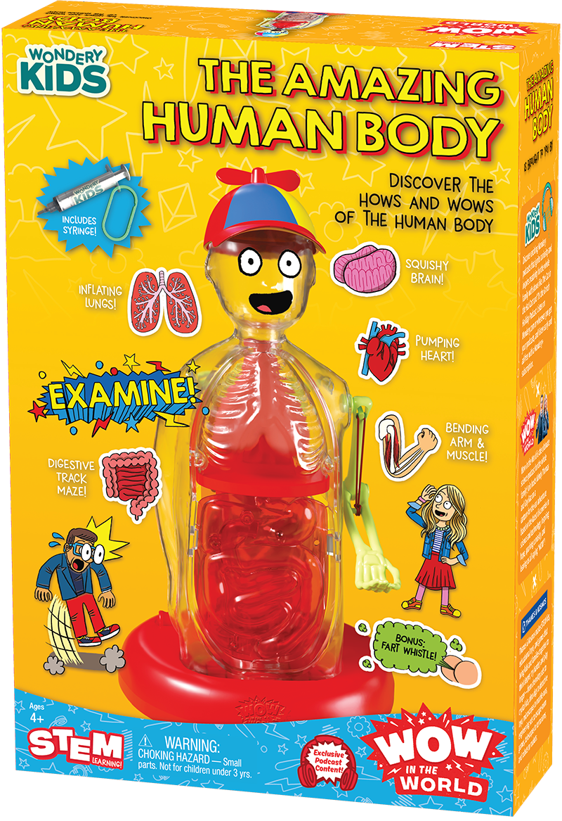 WOW Amazing Human Body
