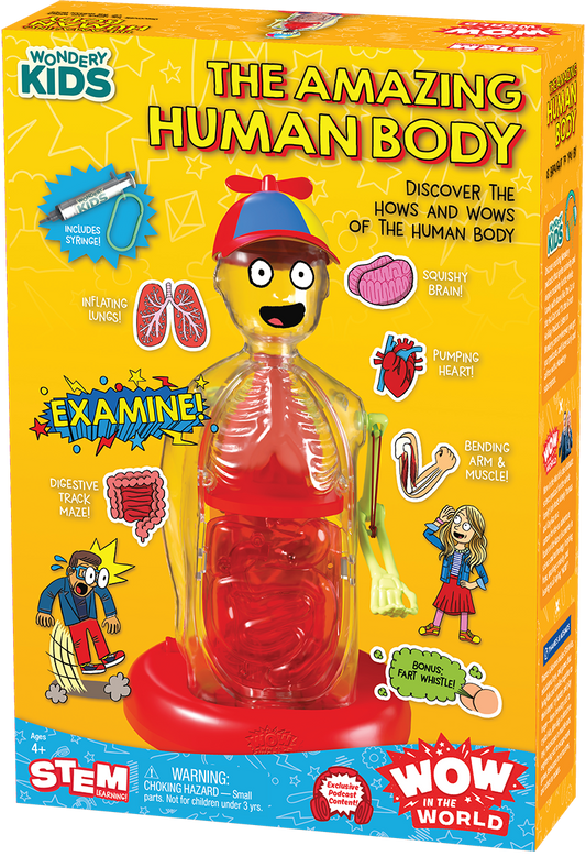WOW Amazing Human Body