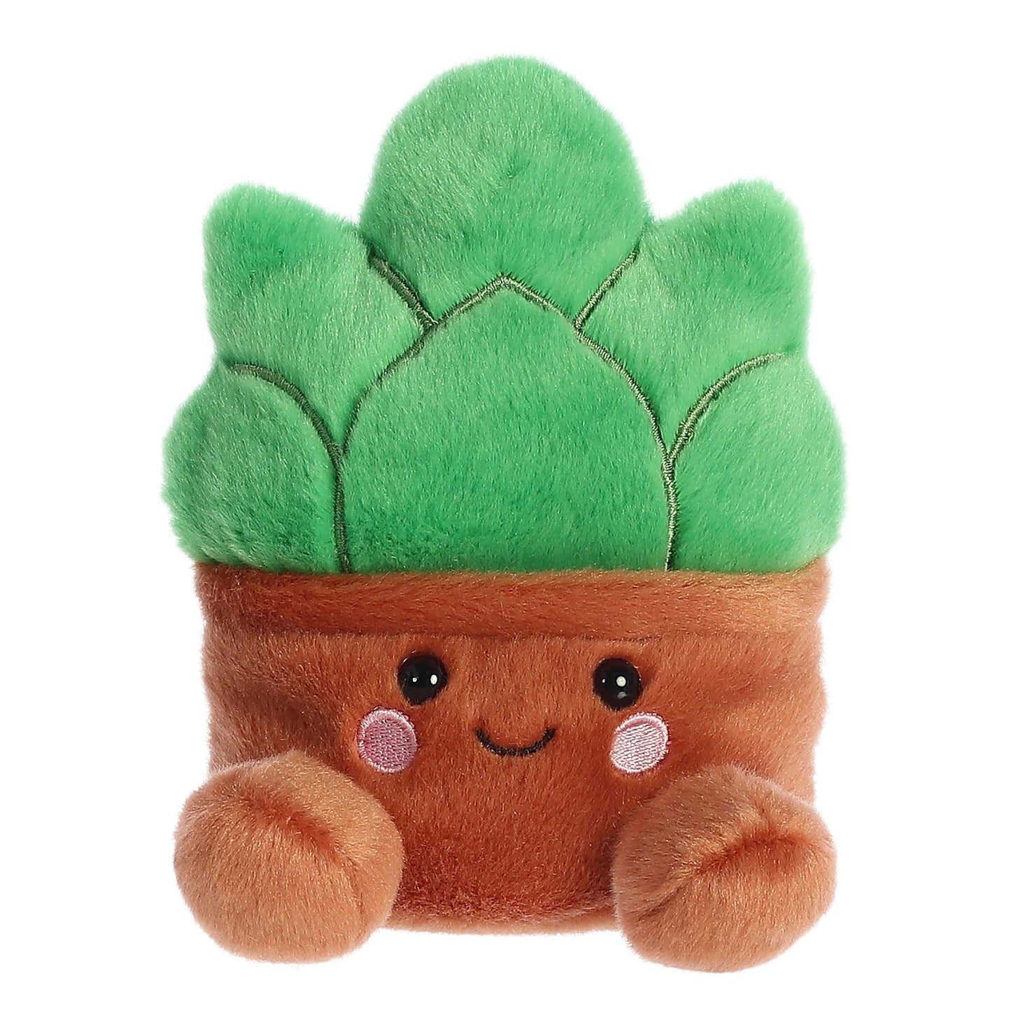 Gigi Succulent Palm Pal