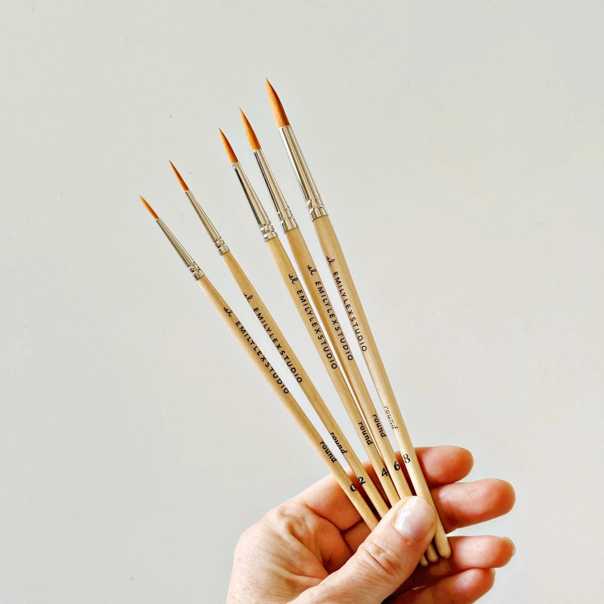 Watercolor Paintbrush Set 5 piece