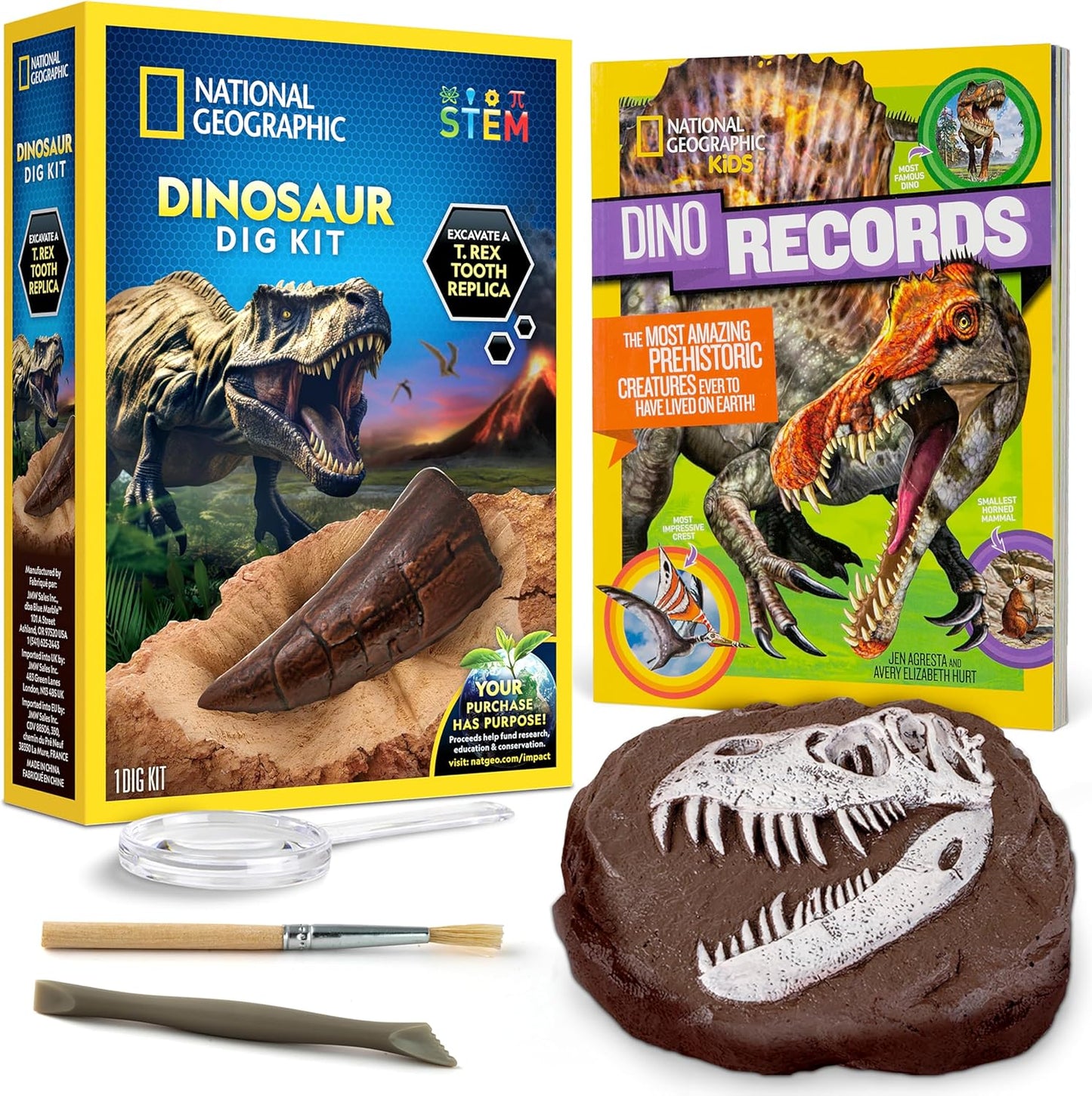 Nat Geo Dino Fossil Dig Kit