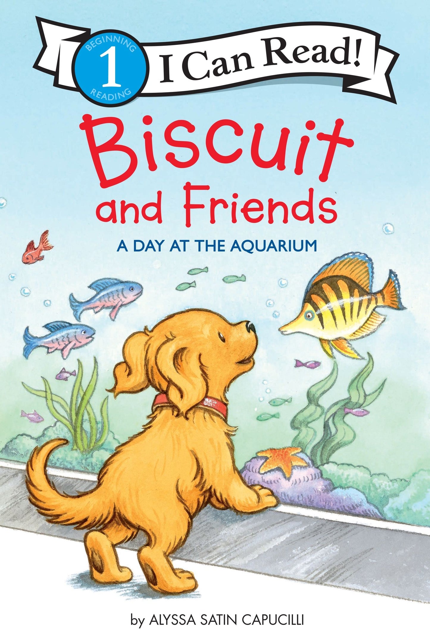 Biscuit a Day at the Aquarium