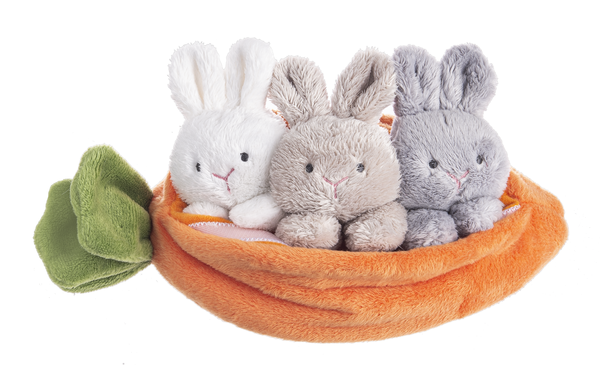 CARROT LEARN & GROW 4-PC SET