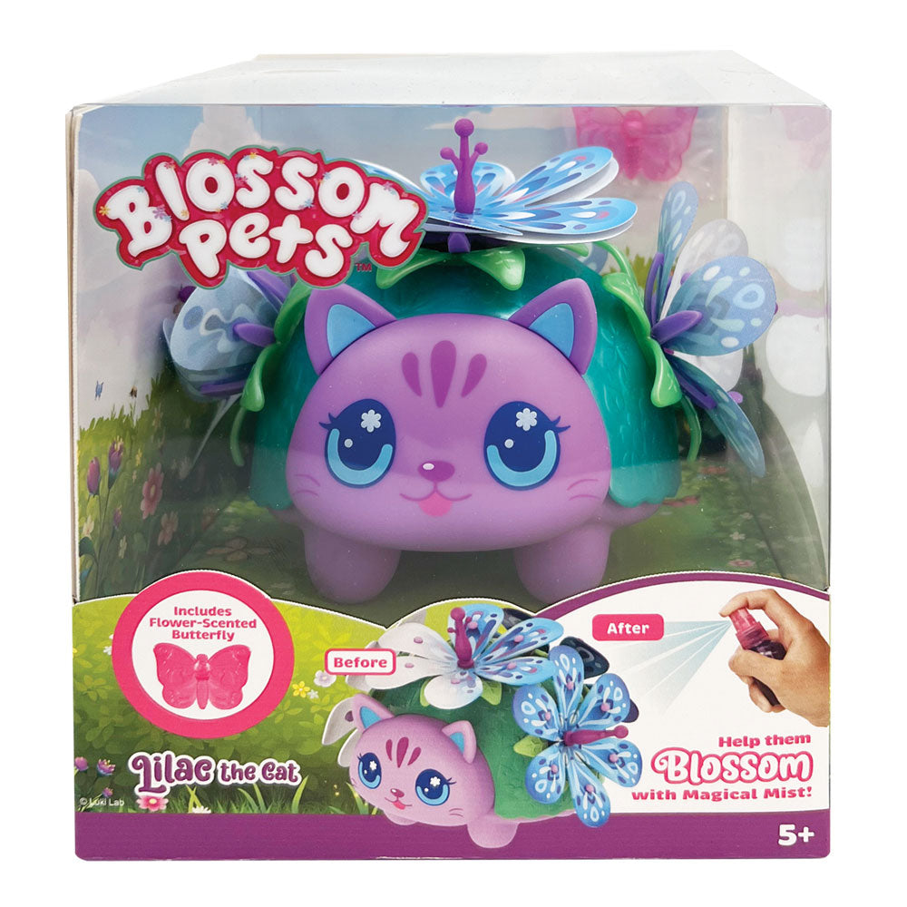 Lilac the Cat