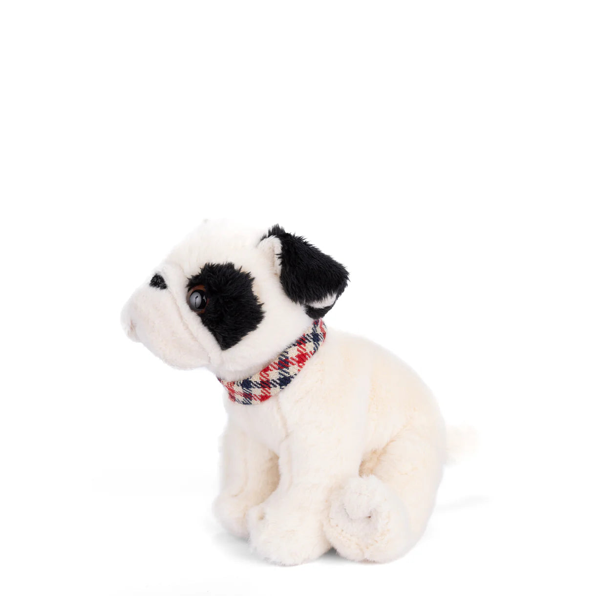 Baby Gentleman Dog