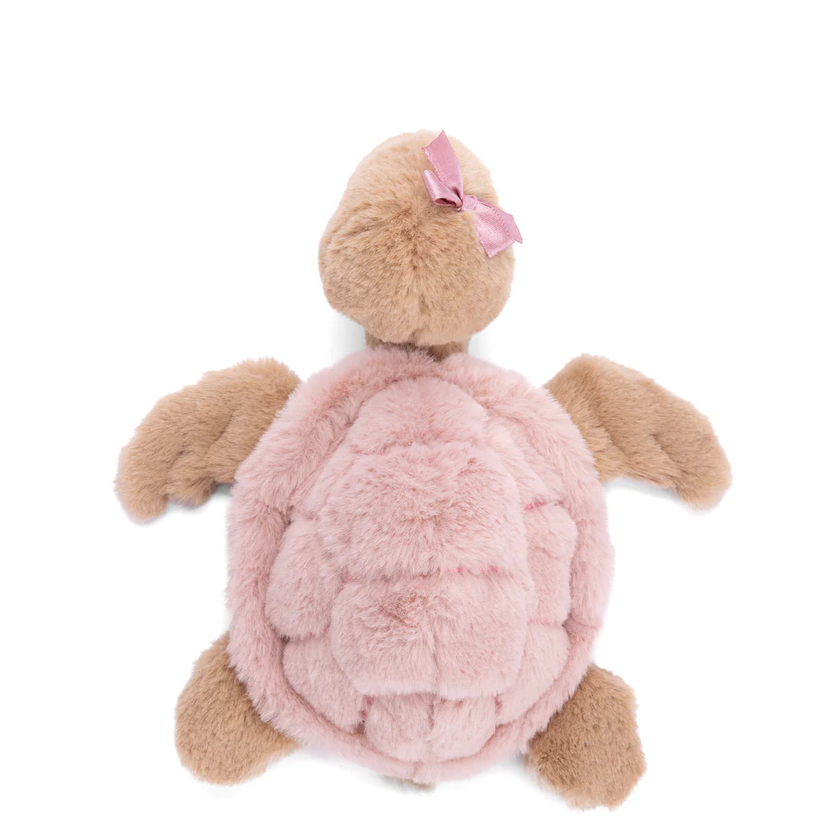 Baby Sandy Pink Turtle