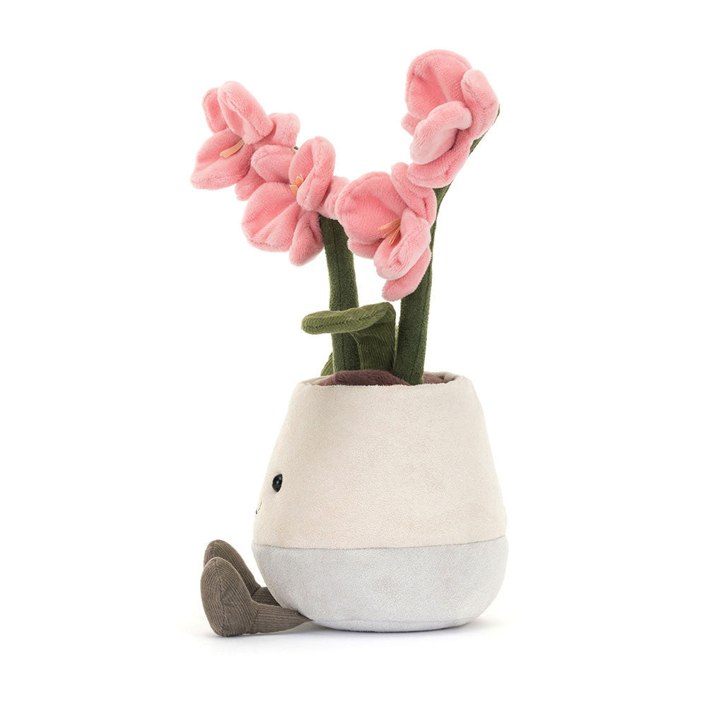 Amuse Pink Orchid