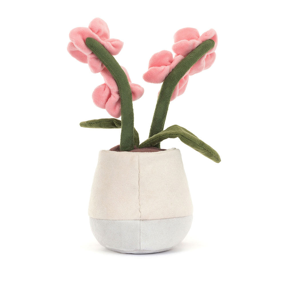 Amuse Pink Orchid