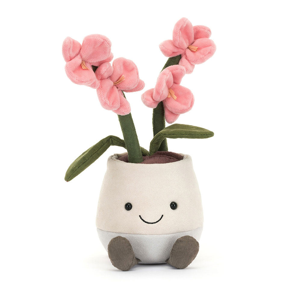 Amuse Pink Orchid