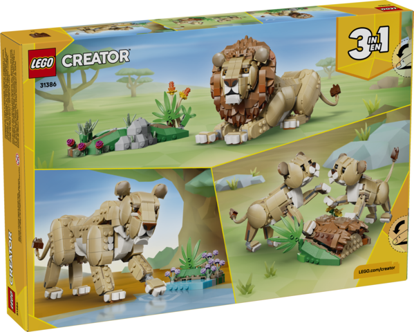 Majestic Lion Wild Animals
