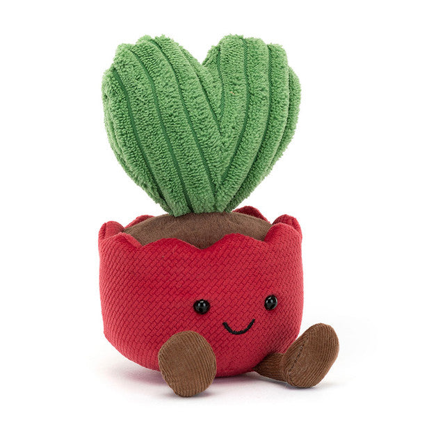 Amuse Kerrii Cactus