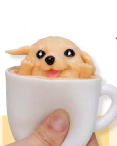 Pup in a Cup Ast