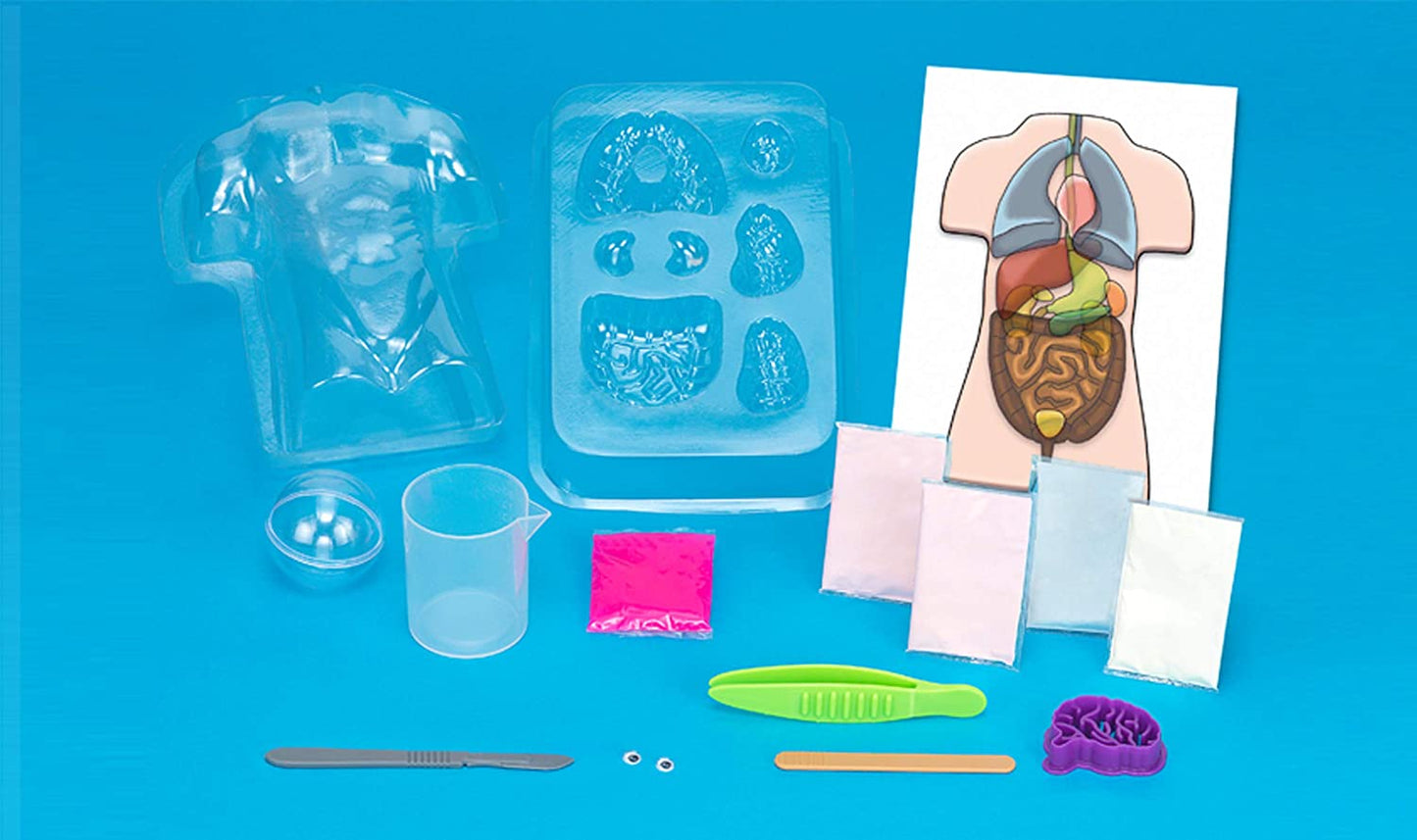 Myo Squishy Human Body