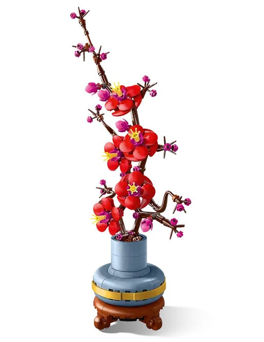 Plum Blossom Bontanical