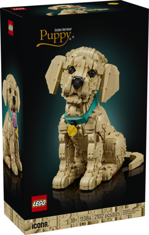 Golden Retriever Puppy