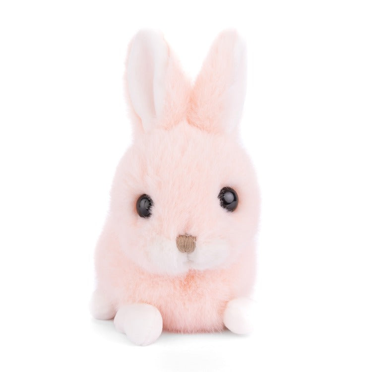 Peach Baby Bunny