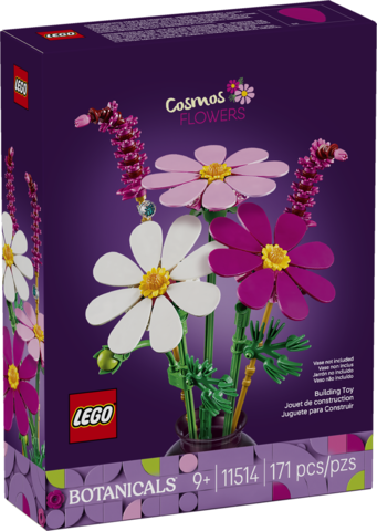 Cosmos Flowers