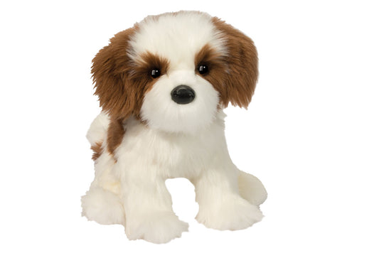 Farren Shih Tzu