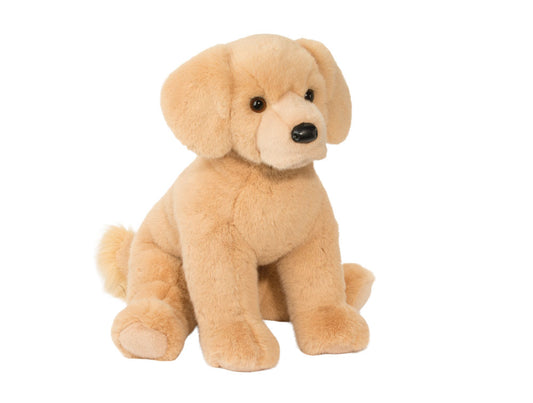 Denali Golden Puppy