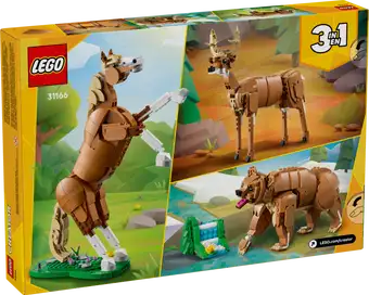 Beautiful Horse