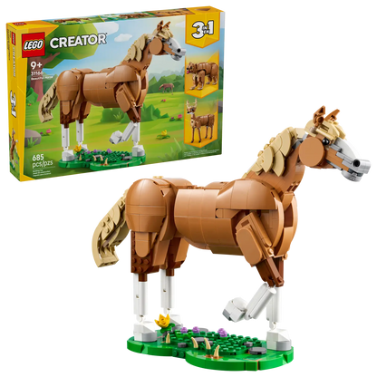 Beautiful Horse
