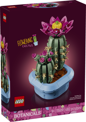 Flowering Cactus