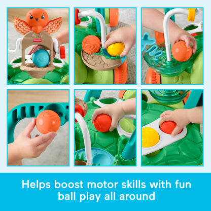 Fisher-Price® Moves with You™ Turtle Walker