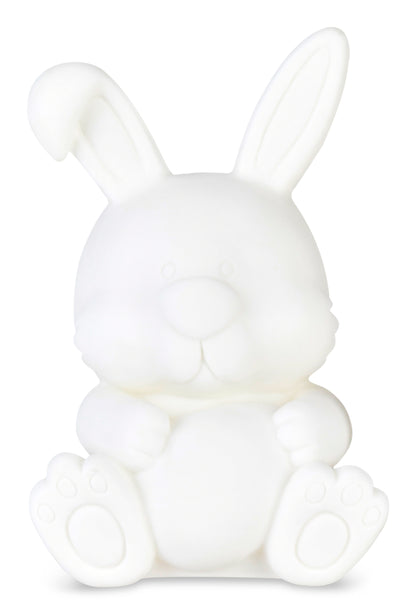 Paint Your Own Bunny Bank