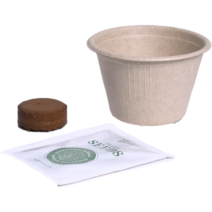 Pollinator Grow Kit