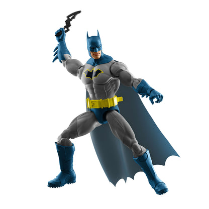 DC™ Premiere Action Figure Assortment