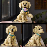 Golden Retriever Puppy