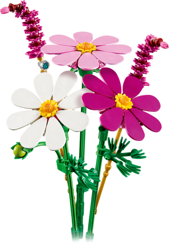 Cosmos Flowers