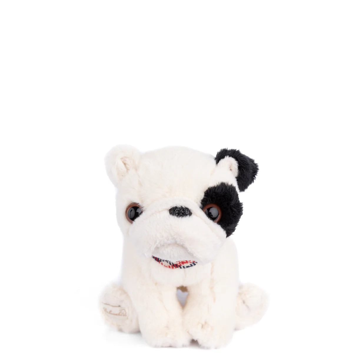 Baby Gentleman Dog