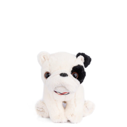 Baby Gentleman Dog