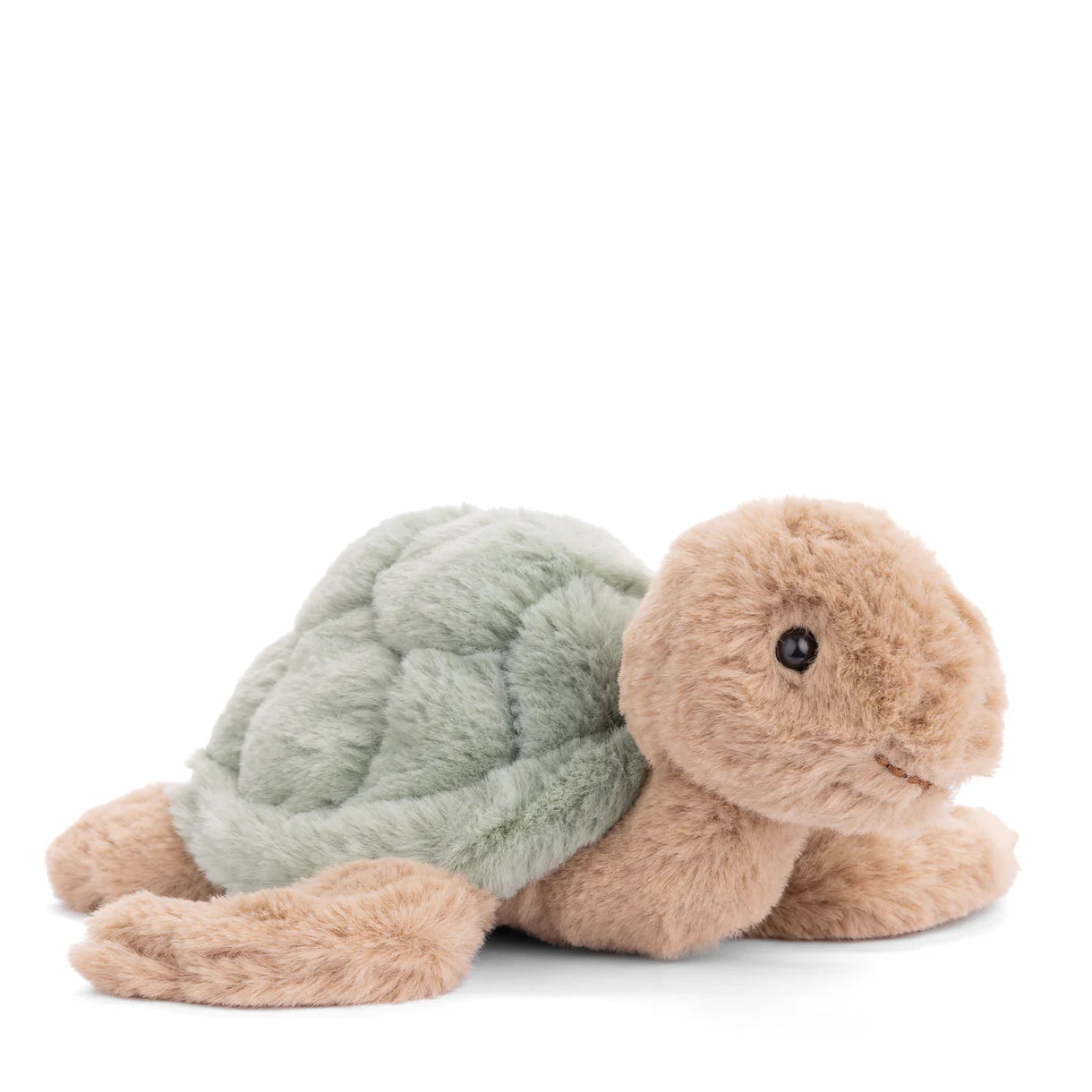 Baby Sandy Turtle Green