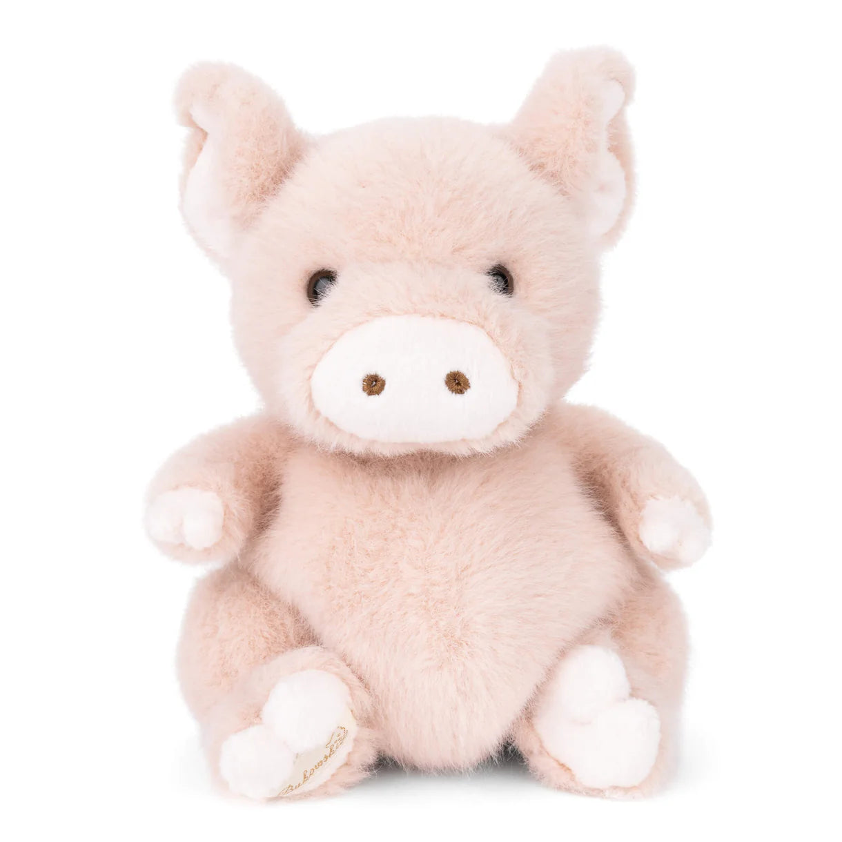 Baby Oink Pig