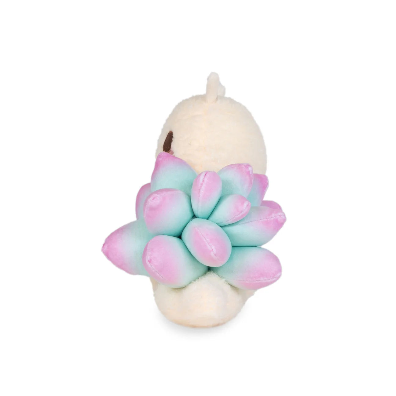 Lil Sage Succulent Snail