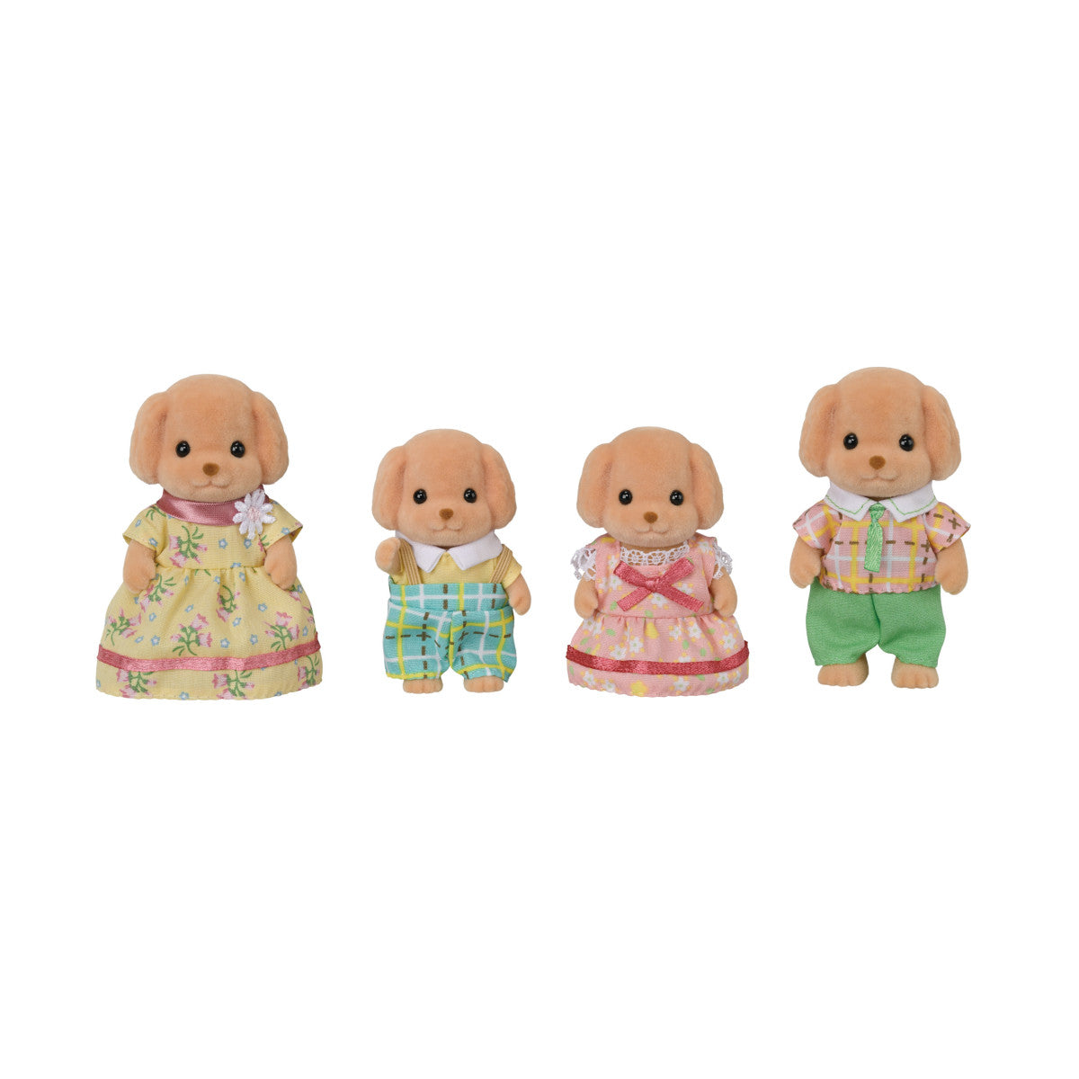Calico Toy Poodle Family