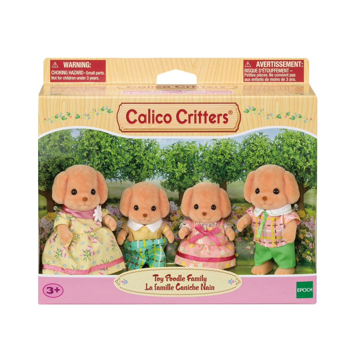 Calico Toy Poodle Family