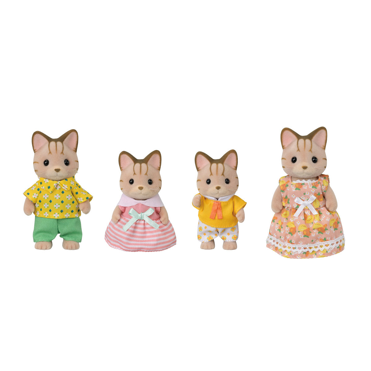Calico Sriped Cat Family